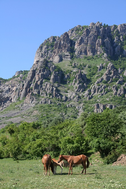 город курорт - Алушта